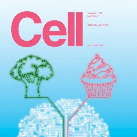 Original research paper in developmental biology