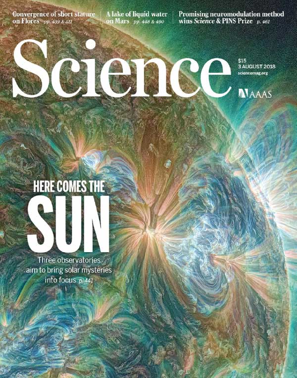 美国版science原版科学杂志2018年8月刊n3