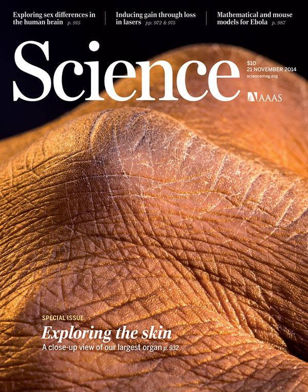 [美国版]Science 原版科学杂志 2014年11月刊N21