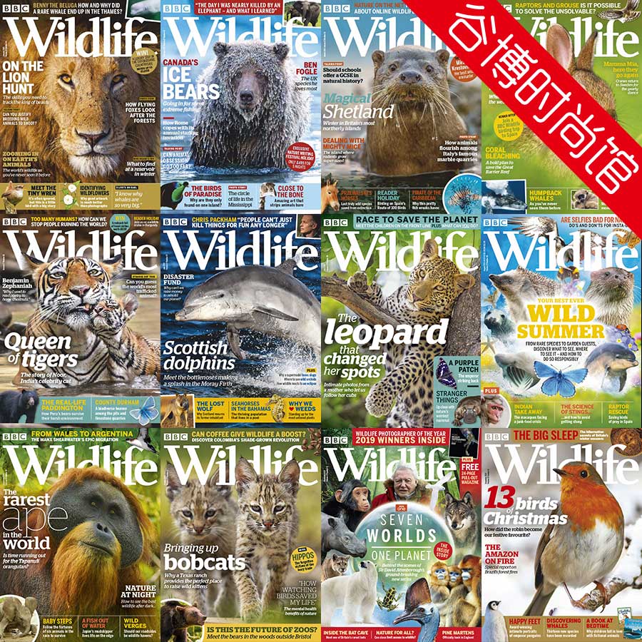[英国版]Wildlife 野生动物杂志 2019年合集(全12本)