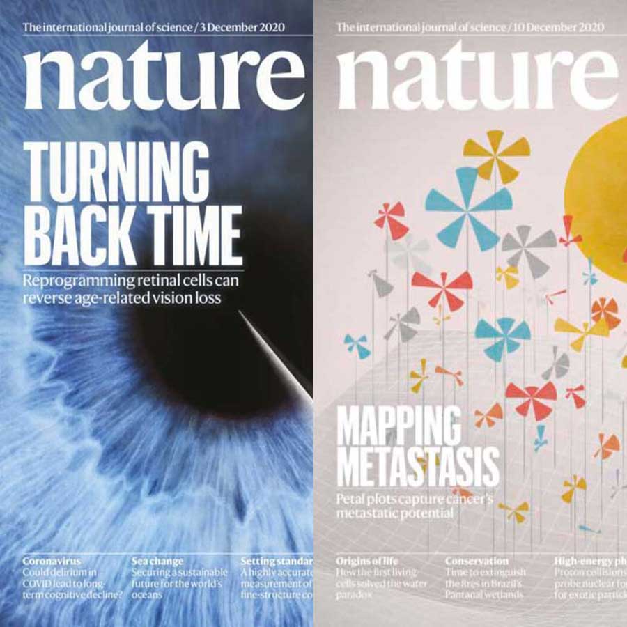 [英国版]Nature 权威自然杂志 2020年12月刊合集(2本)
