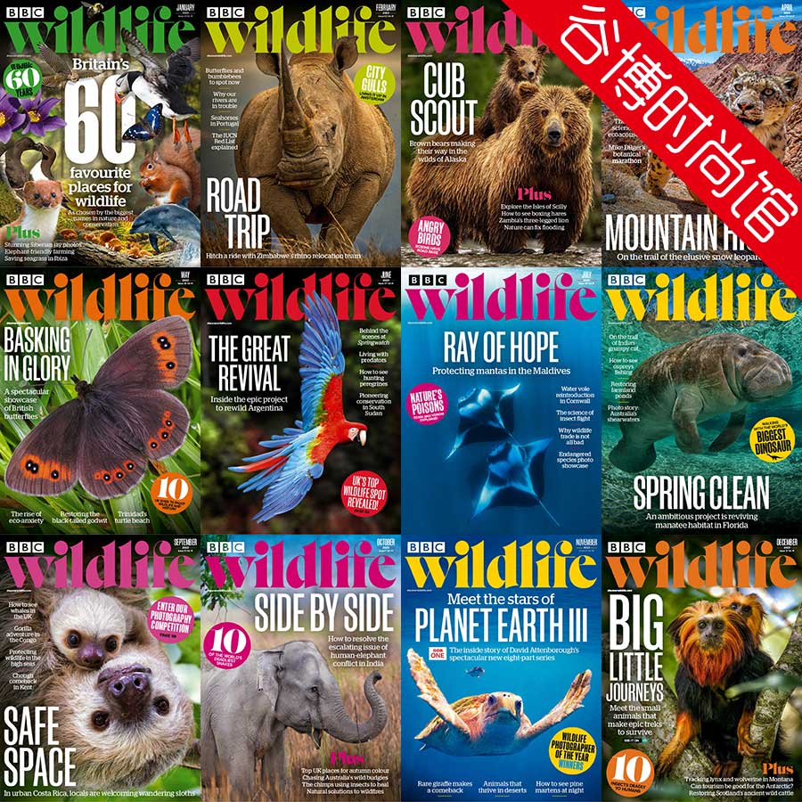 BBC Wildlife 野生动物杂志 2023年合集(全12本)