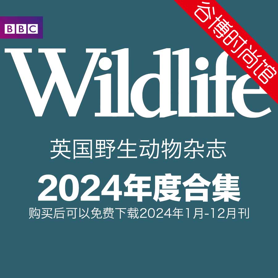 BBC Wildlife 野生动物杂志 2024年全年订阅(更新至2月刊)