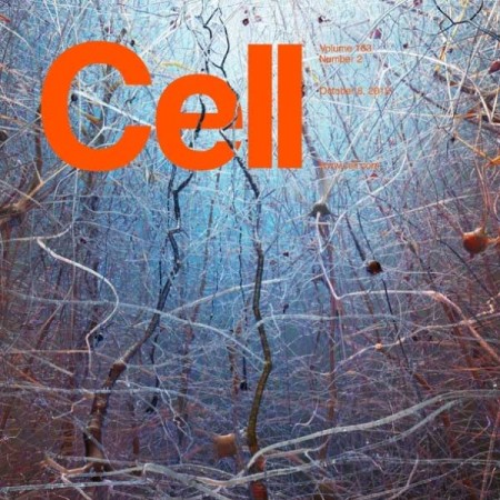 [英国版]cell 细胞杂志 2015年10月刊n8