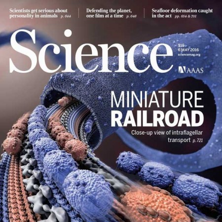 [美国版]science 原版科学杂志 2016年5月刊n6