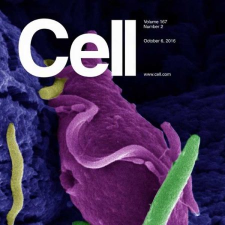 [英国版]cell 细胞科学杂志 2016年10月刊n6