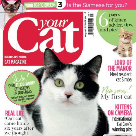 [英国版]your cat 宠物猫杂志 2018年8月刊