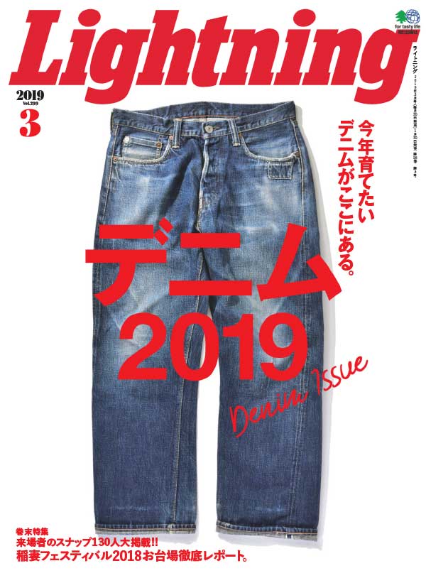 [日本版]Lightning 男性休闲时尚杂志 2019年合集(11本)