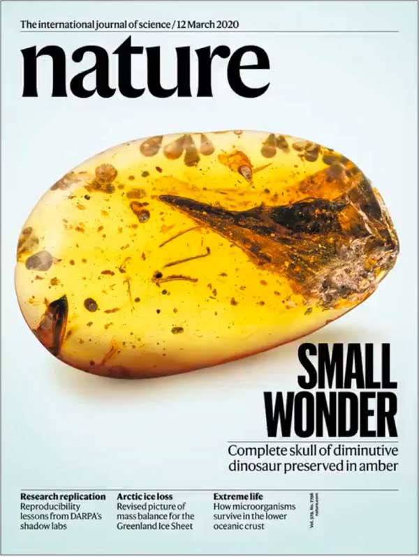 英国版nature权威自然杂志2020年3月刊n12